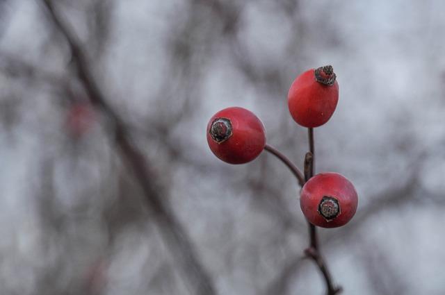 Jak ⁢se ‌připravit na test neplodnosti‍ fyzicky ‌a ⁣psychicky