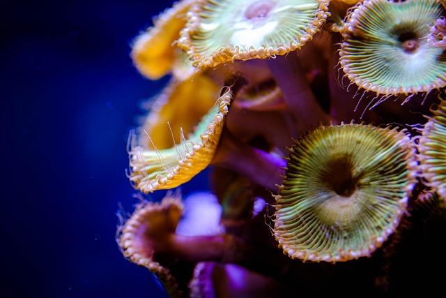 Vztah mezi polypy a ​plodností: Co říkají vědecké studie