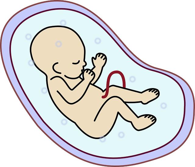 Co znamená fragmentované embryo a proč je důležité jej znát