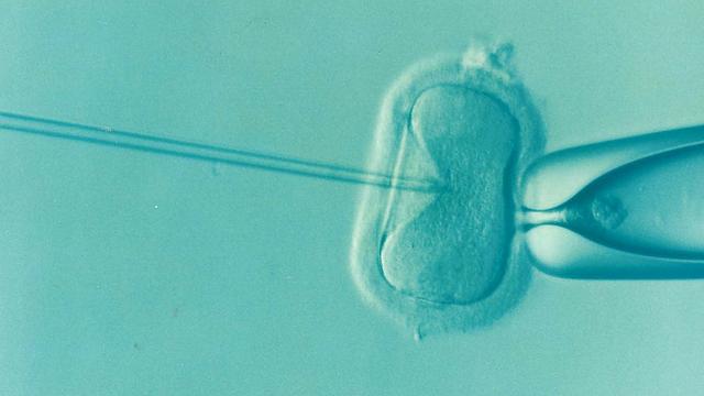 EmbryoGlue: Jak Může Pomoci při IVF?