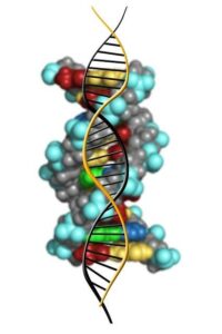 Genetika Praha: Předcházejte Dědičným Onemocněním