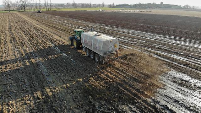 Jak probíhá umělé oplodnění: Vše, co potřebujete vědět