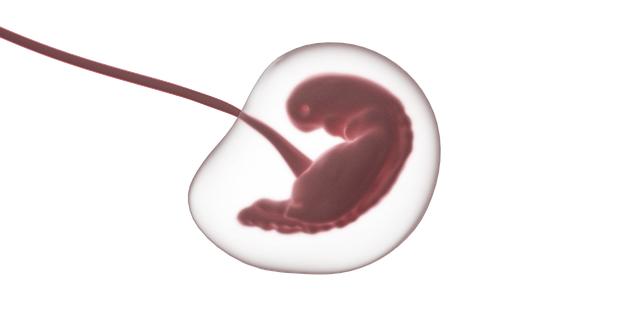 Proč se embryo neuhnízdí: Hlavní Příčiny a Řešení