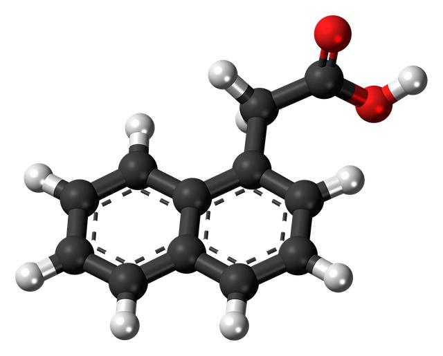 Estradiol: Hormon, který může změnit vaši cestu k mateřství