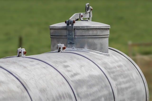 Průvodce oplodněním: Základní pojmy a fáze procesu