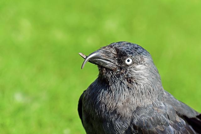 Časté příčiny abnormalit ve spermiogramu