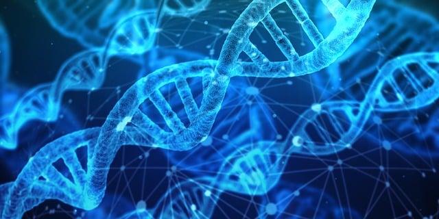 Metody diagnostiky a hodnocení fragmentace DNA spermií