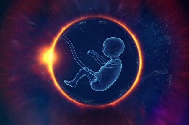 Doporučení pro lékaře a zdravotnický⁤ personál⁤ při využívání Embrya⁣ 5 ‍Den