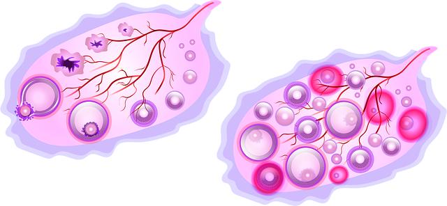 Zdravotní důsledky ovulace bez menstruace